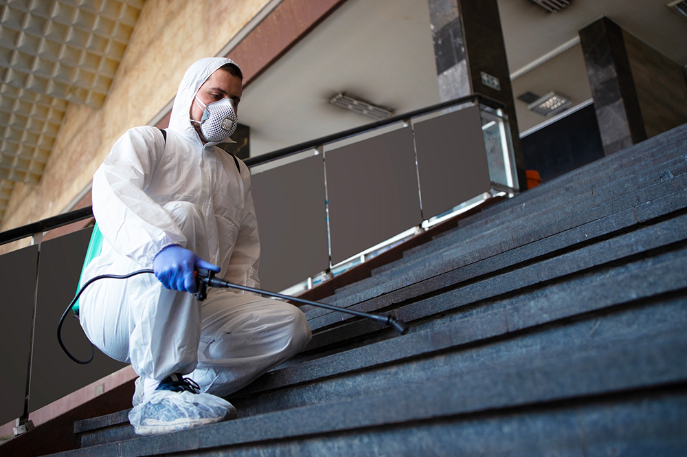 Baldivis South pest control service
