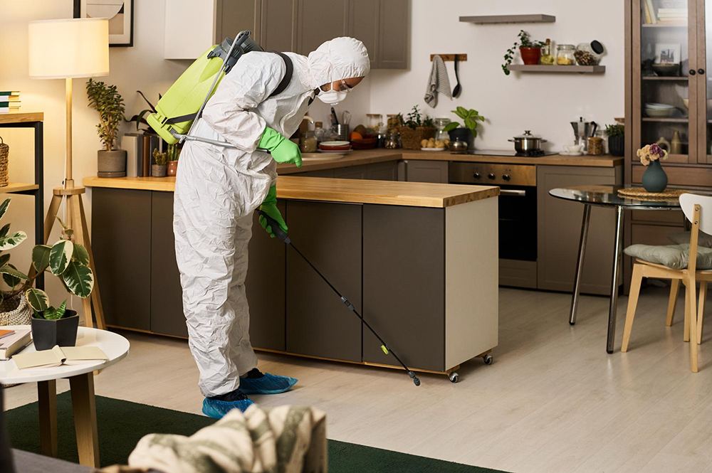 Bibra Lake pest control service