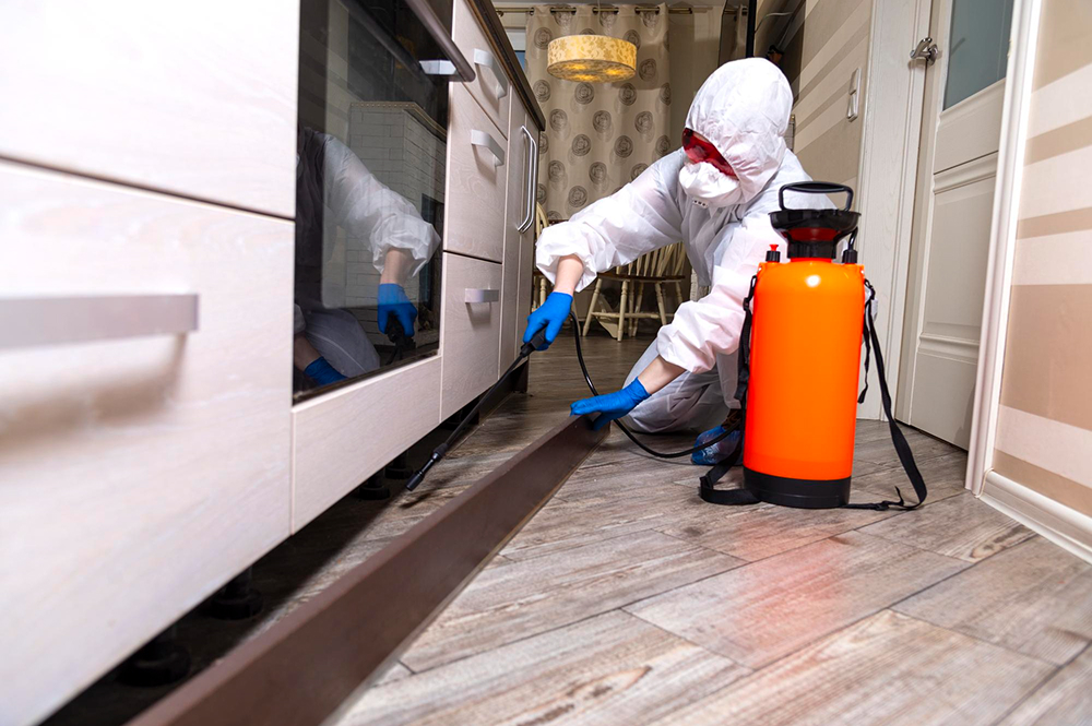 Ellenbrook pest control service
