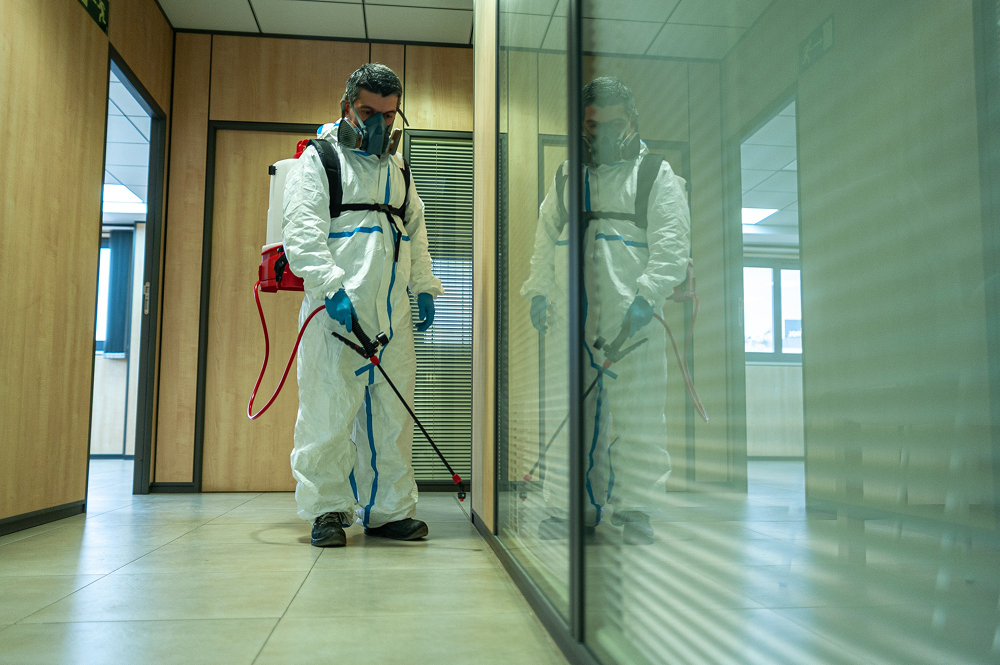 Kelmscott pest control service
