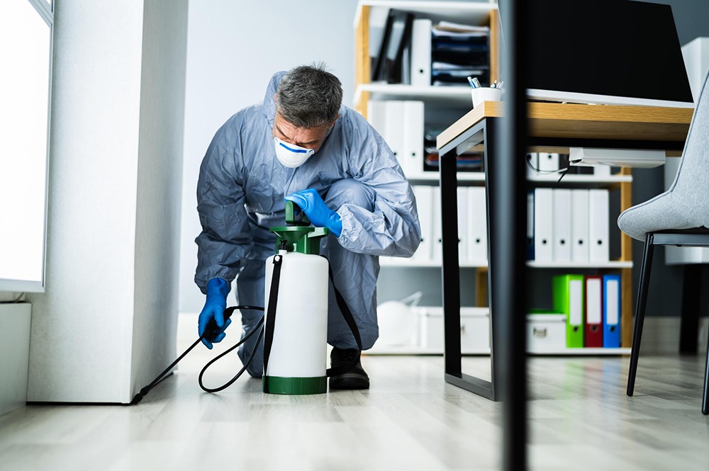 Thornlie pest control service